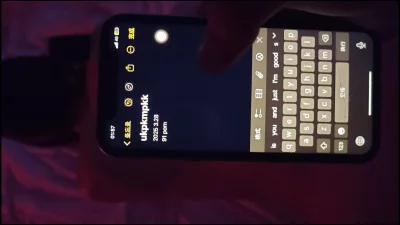 [原创]申请自拍达人