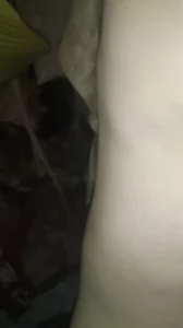 东莞情事